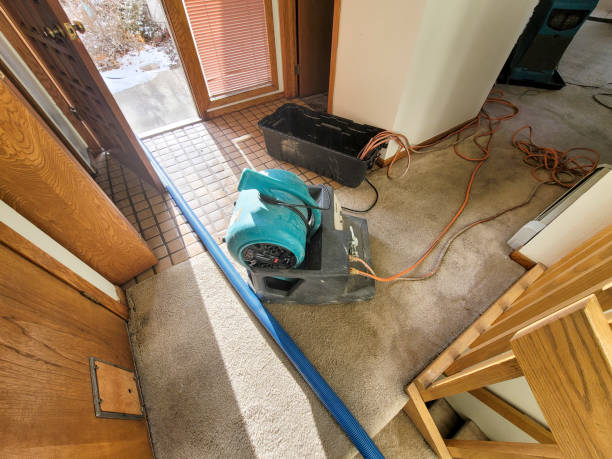Best Water damage restoration near me  in Littleton, CO