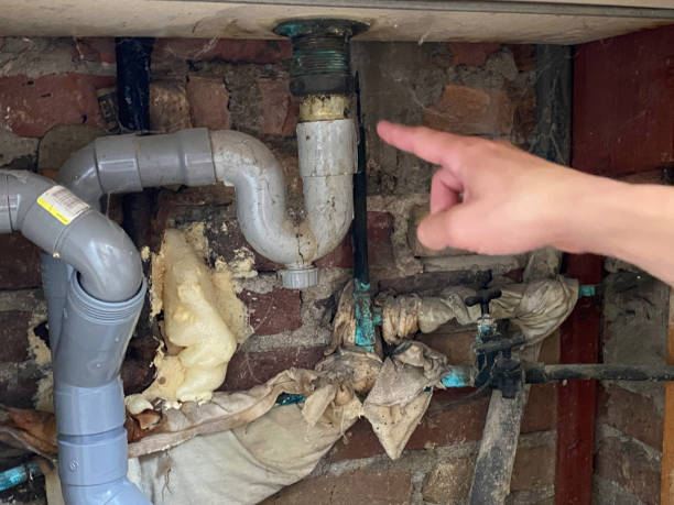 Best Basement water damage restoration  in Littleton, CO